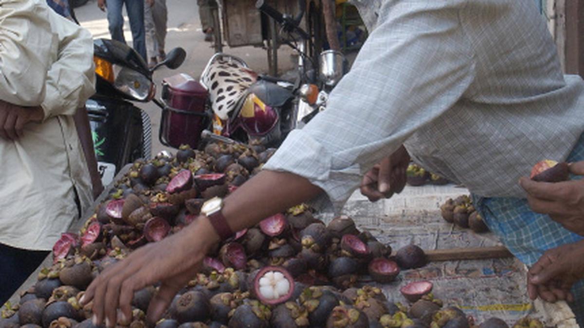Mangosteen juice may help prevent heart disease, diabetes in the obese