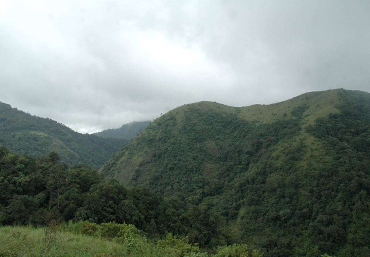 silent valley movement