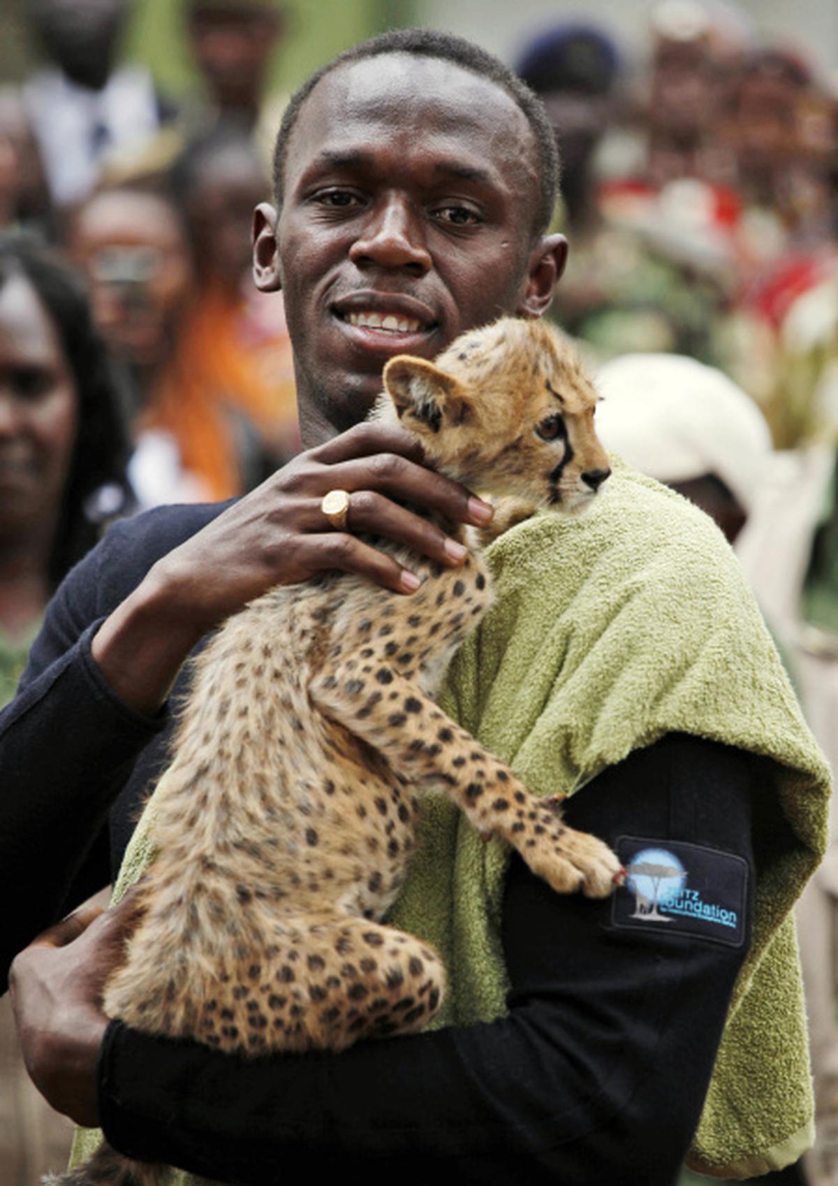 Usain Bolt adopts cheetah - The Hindu