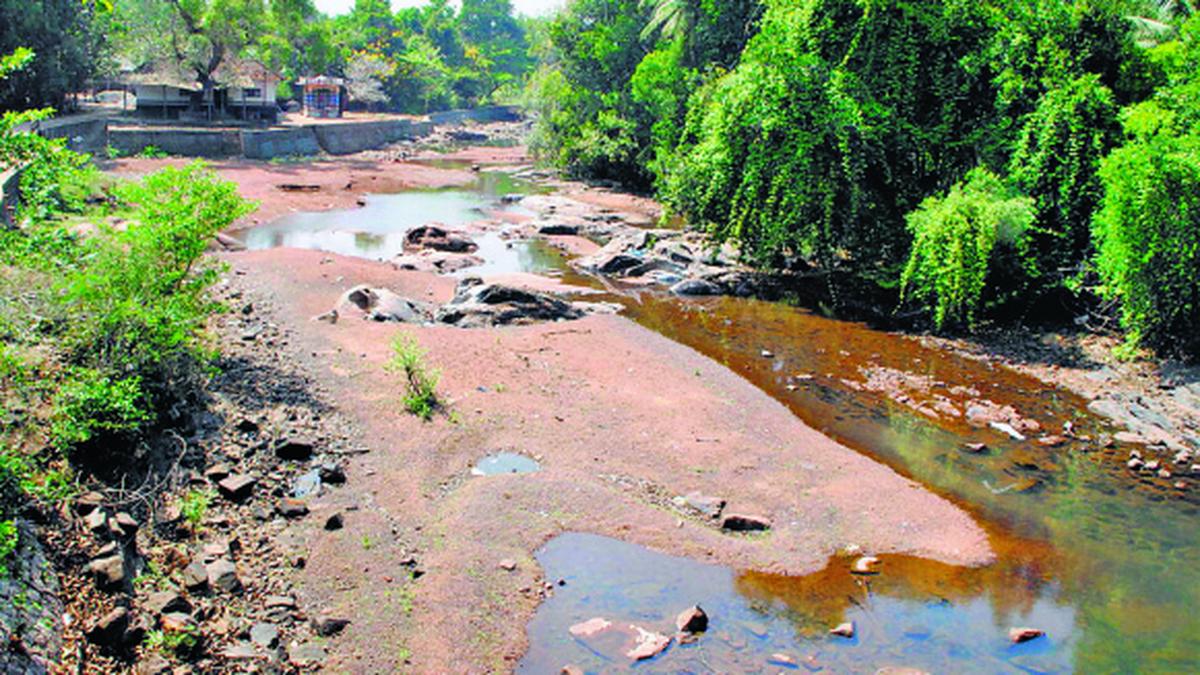 Four class 10 students found dead in Nandini river near Mangaluru