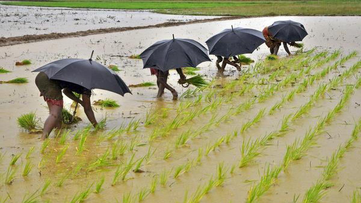 Explained | Why India is watching the El Niño forecast with bated breath
Premium