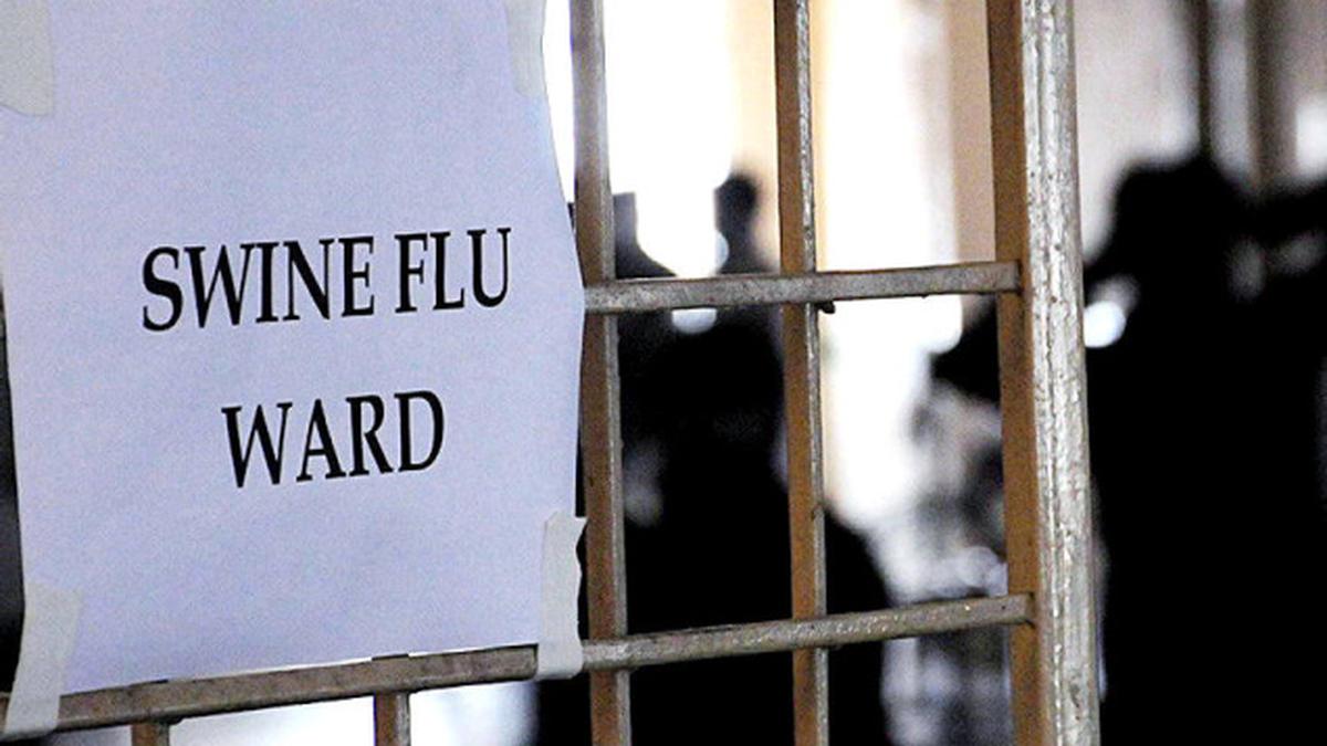 Swine flu claims 250 lives in country this year