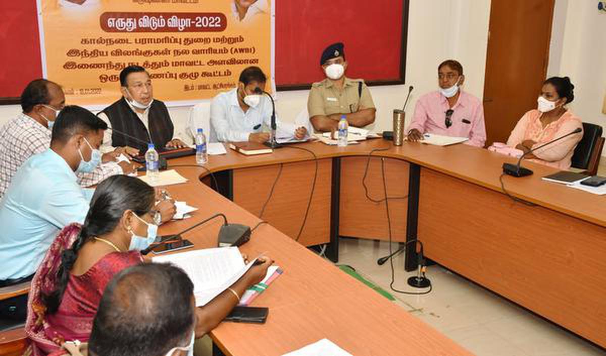 Krishnagiri Collector chairs meeting on jallikattu - The Hindu
