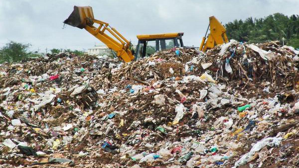 Corporation starts biomining to dispose of accumulated waste