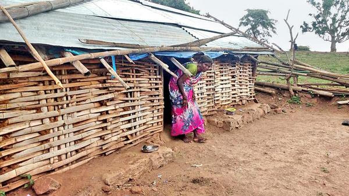 Irular families live in bamboo huts without basic amenities - The Hindu