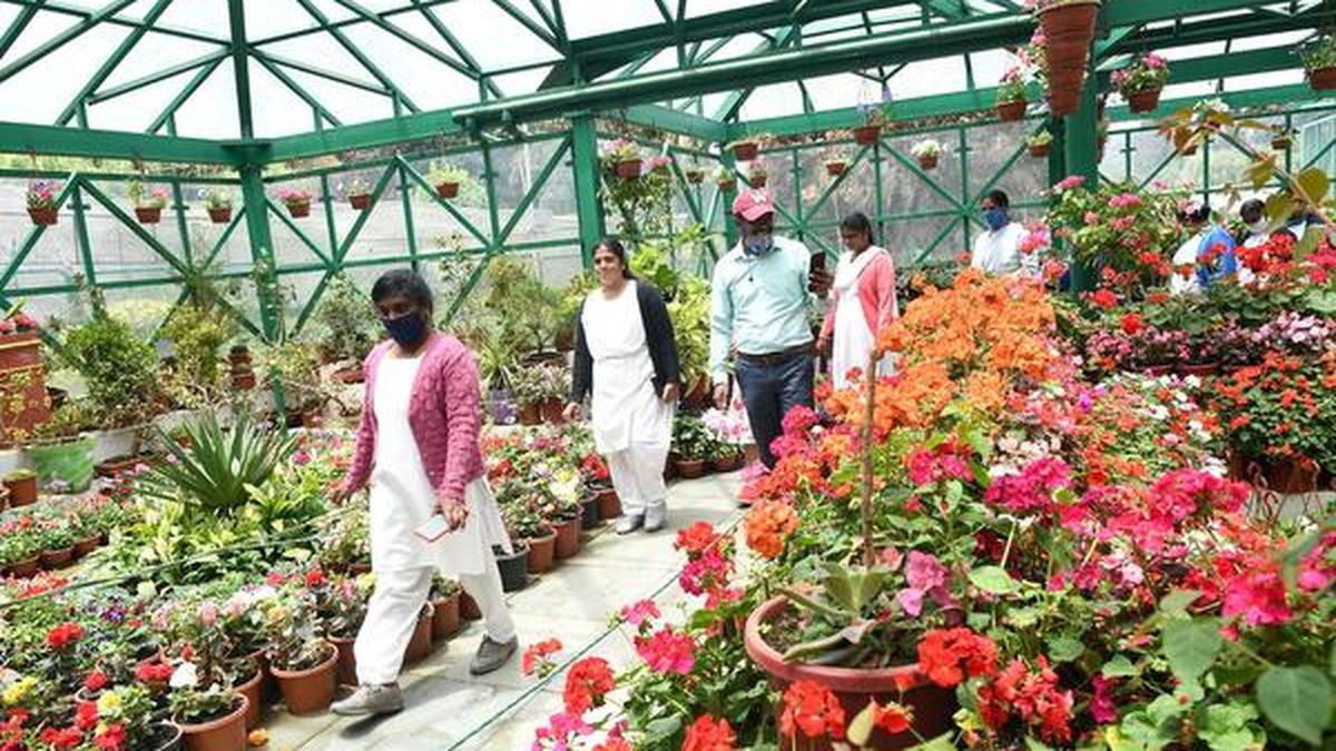 Healthcare workers given special tour of Botanical Garden The Hindu