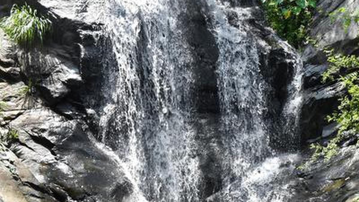 Rain creates new falls in Yercaud forests