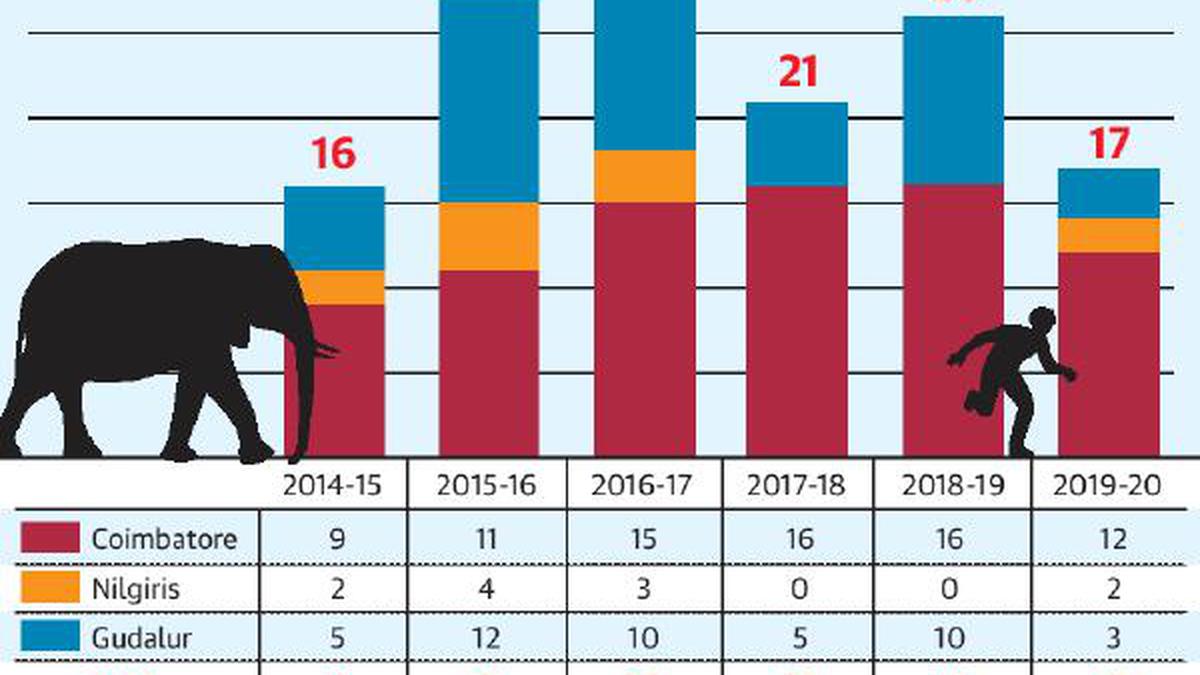 Human deaths in elephant attacks decline in three forest divisions