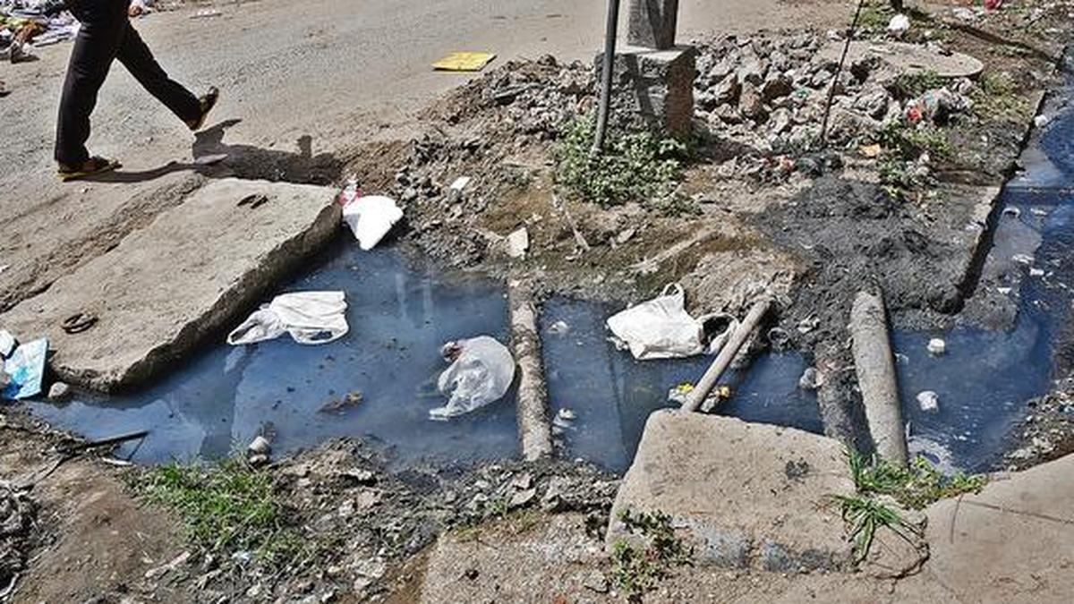 Choked drain troubles residents The Hindu