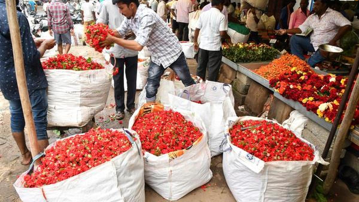 Demand for international flower auction market in Hosur gains momentum