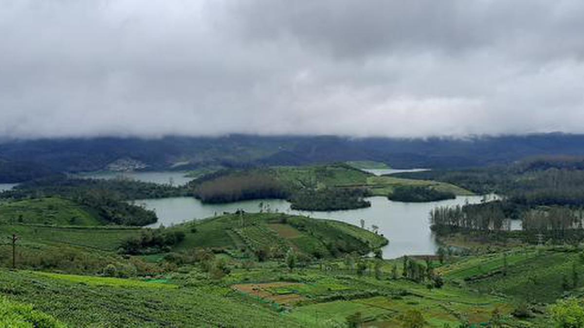 Dams across the Nilgiris almost full - The Hindu