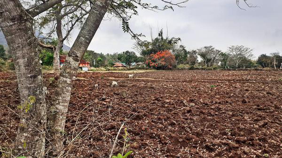 Owners of illegal resorts begin farming along notified elephant