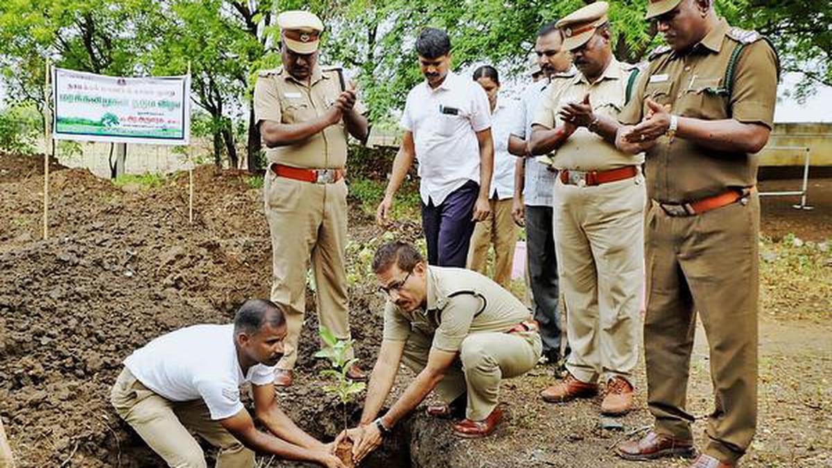 Namakkal police conduct massive sapling plantation drive - The Hindu