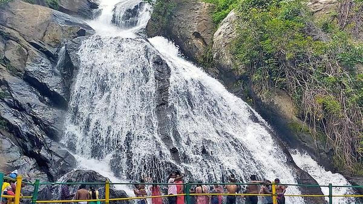 Monkey Falls opened to visitors after nine months The Hindu