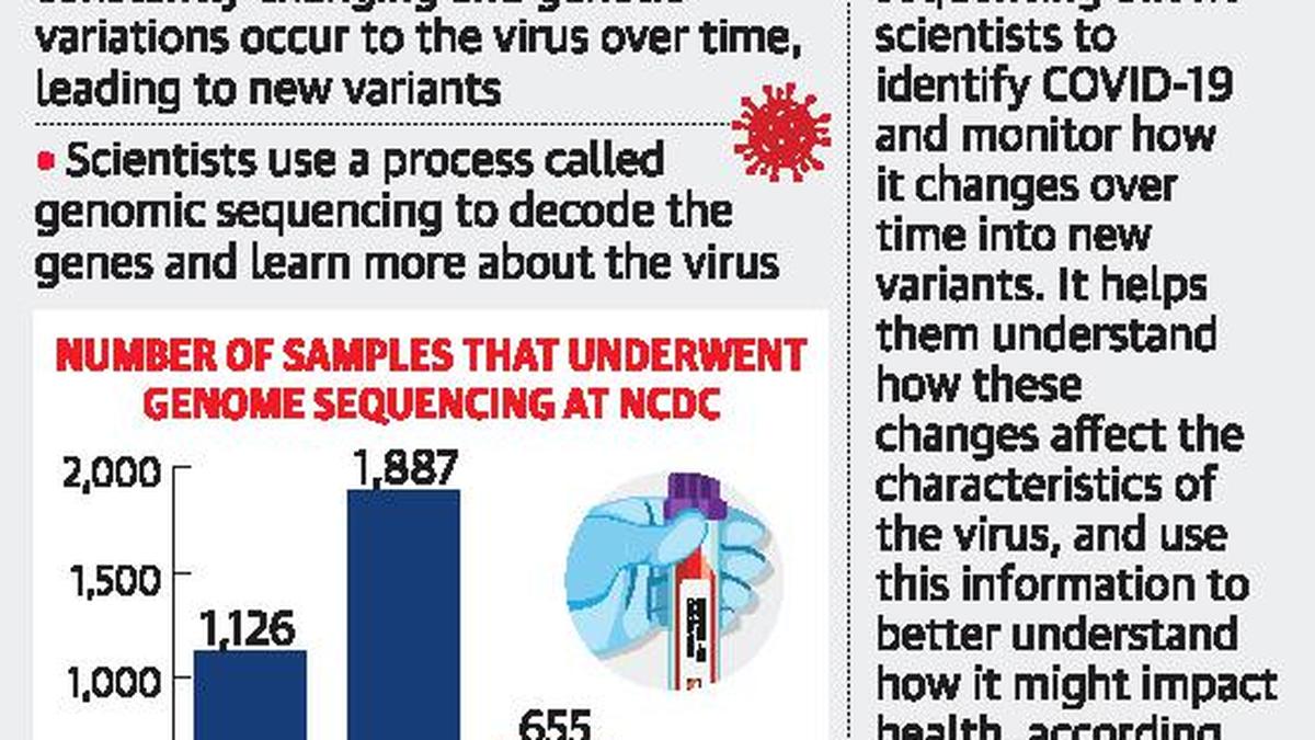 Delhi sees 93 fall in samples sent for genome sequencing The Hindu