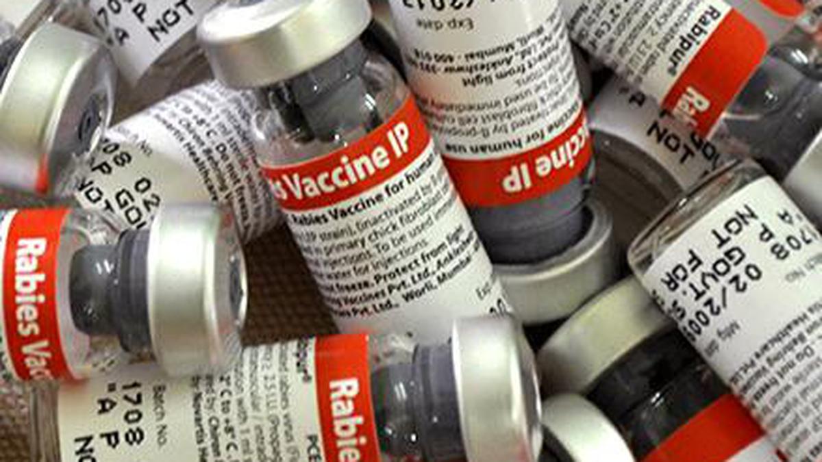 Manufacturers told to rush rabies vaccines to areas facing shortage