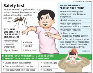 Dengue mosquito bite hotsell