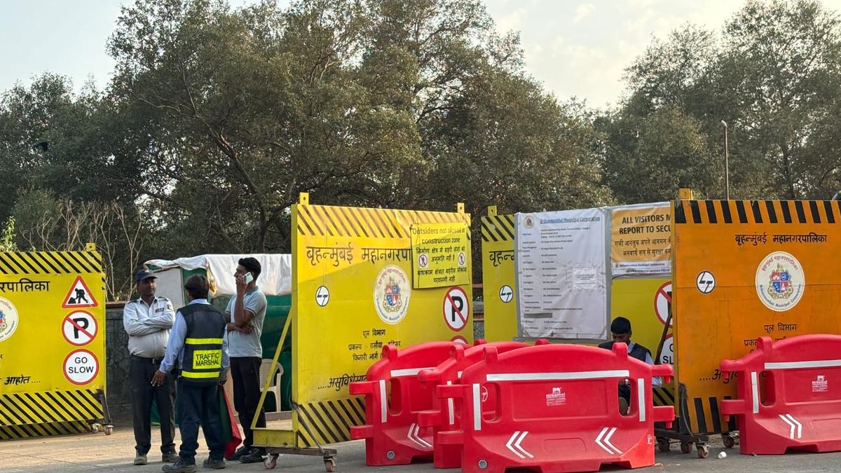 Livelihood of Mumbai fishers at risk as mangroves make way for road