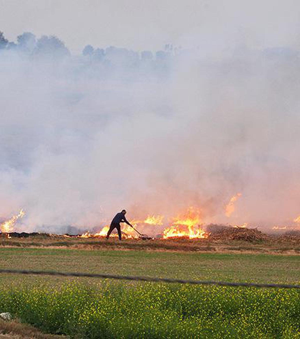 Need Viable Alternatives To Stubble Burning The Hindu   DEL05 Stubble