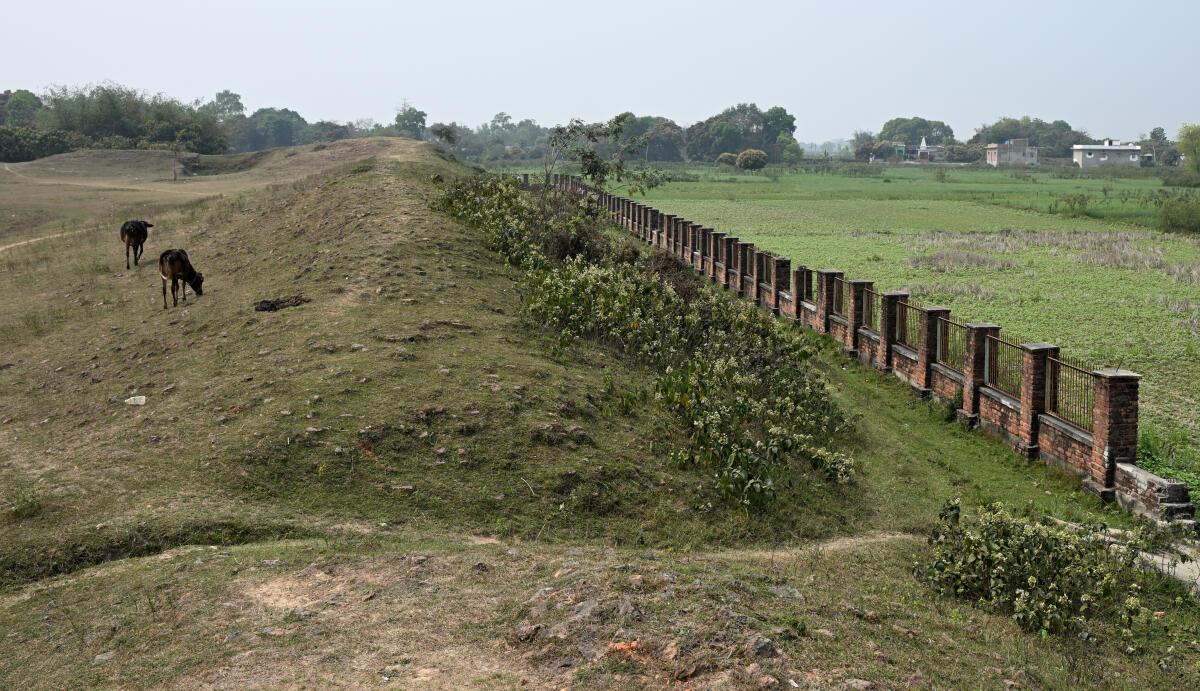Locally known as ‘Raja Bali Ka Garh’, the site was first identified in 1884 by George Abraham Grierson, the then Madhubani Sub-Divisional Magistrate.