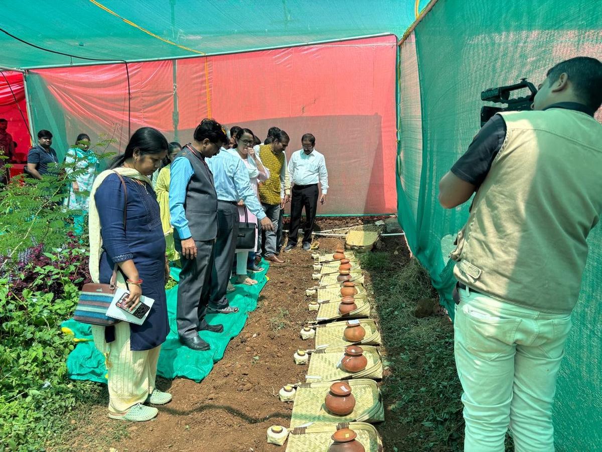 Ayurvedic experts analysing medicinal plant seeds collected by Hari Pangi at Tentuliguda village in Odisha‘s Koraput district.