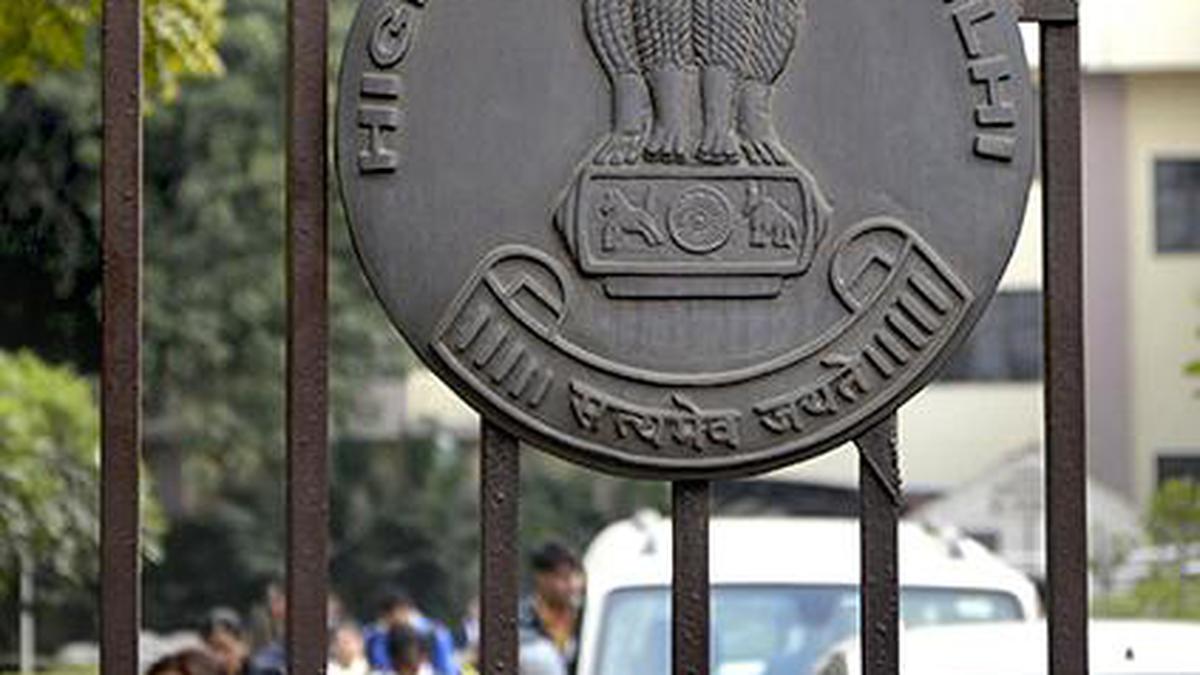 ‘Deseal Delhi Flying Club’ The Hindu