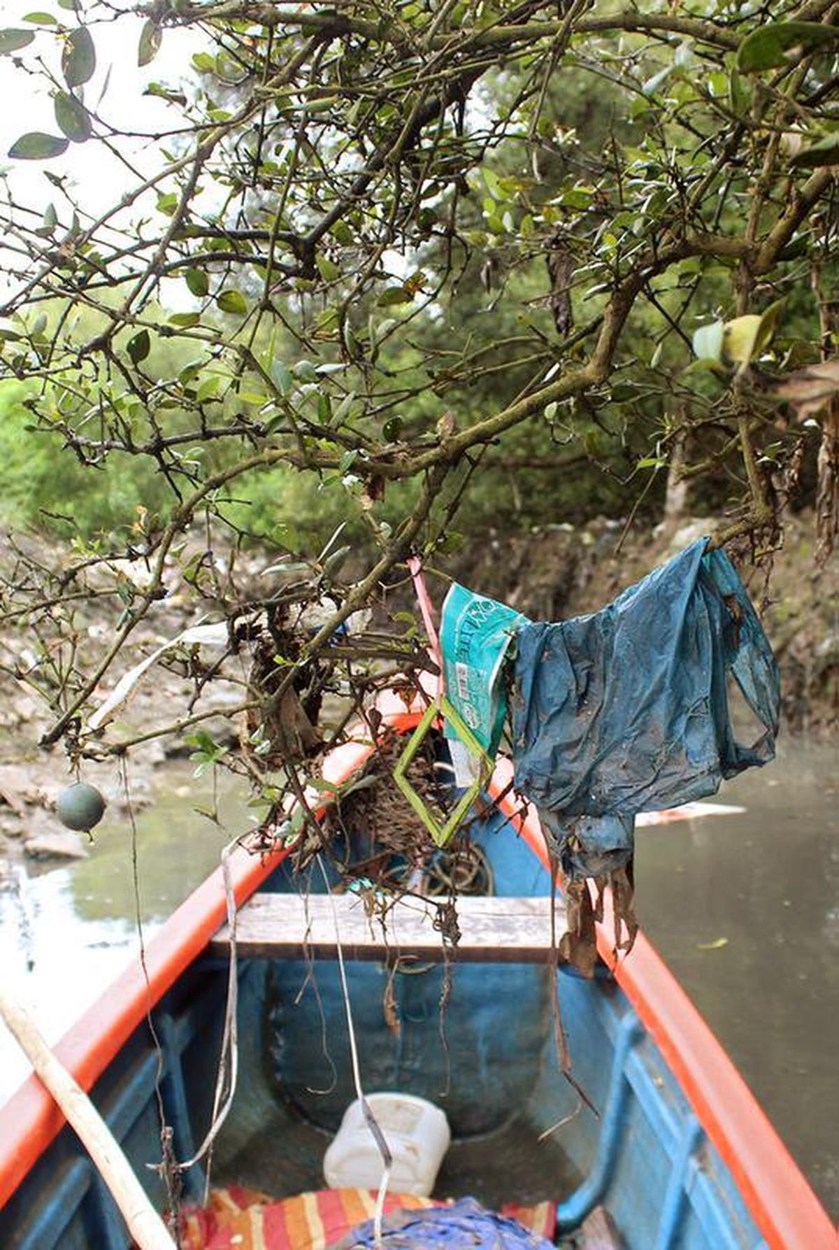 Plastic bags cling to the branches of mangroves in  Uran taluka, Navi Mumbai