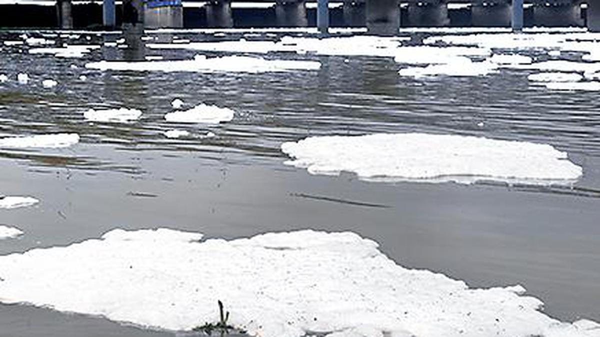 Microbes from human, animal excreta found above desirable limits in Yamuna