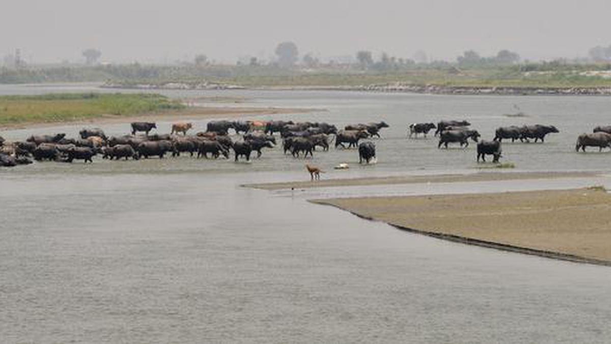 Cleaning the Yamuna: A story of missed deadlines