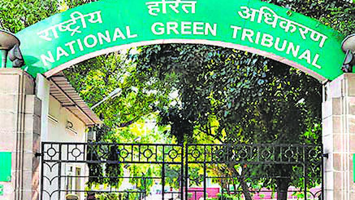 NGT seeks explanation on drilling for oil in Assam national park