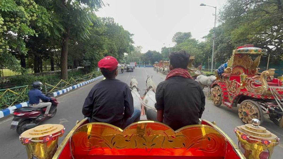 A ride through time: Young drivers of horse-drawn carriages navigate Kolkata’s historic streets.