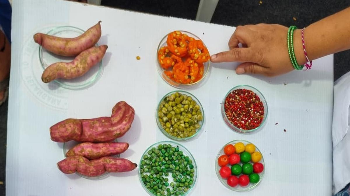 Telangana Food Safety Department demonstrates methods to identify adulterated food Telangana Food Safety Department demonstrates methods to identify adulterated food