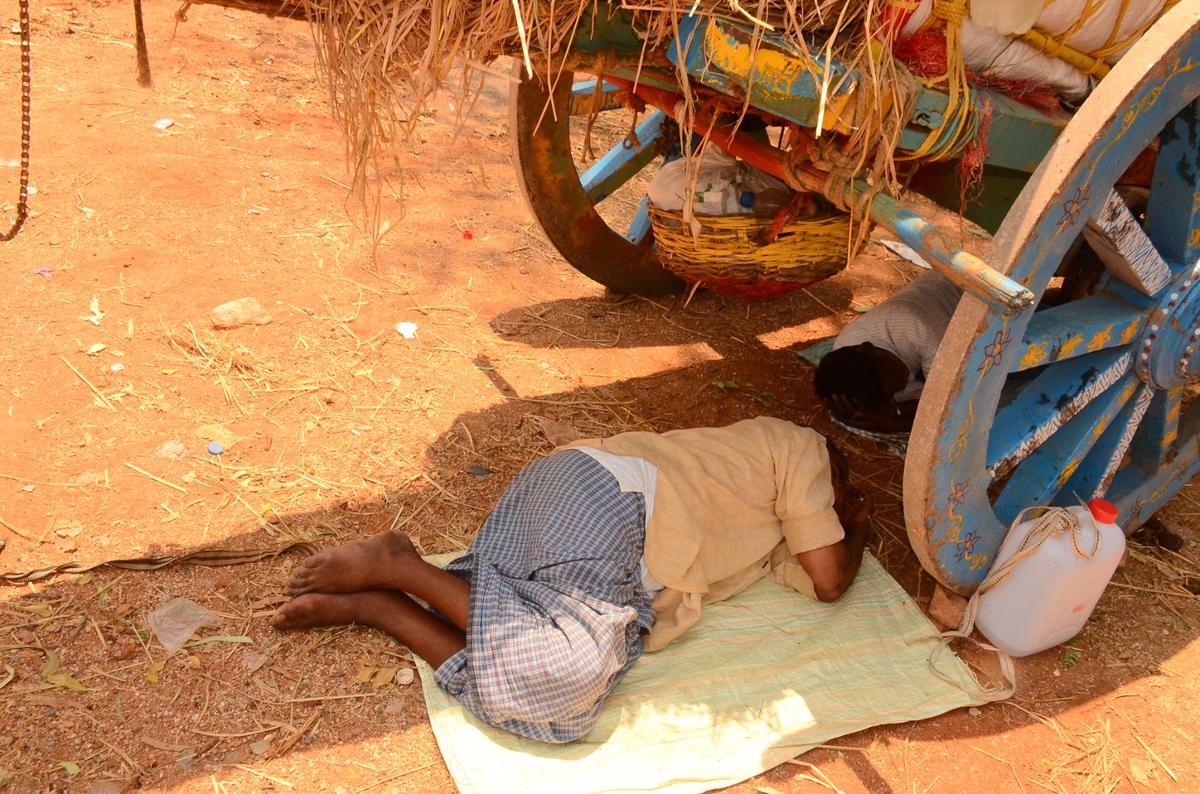 Due uomini fanno un pisolino all'ombra di un carro trainato da buoi a Sangareddy, Telangana