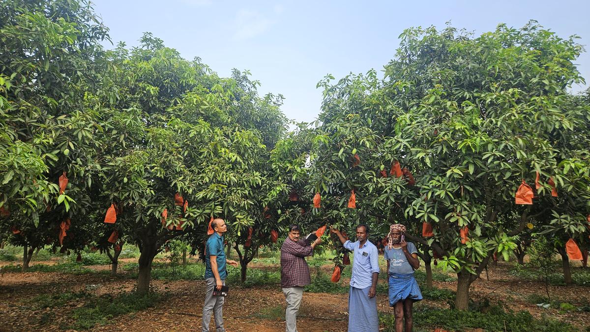 https://th-i.thgim.com/public/news/cities/Hyderabad/4dyti9/article69652114.ece/alternates/LANDSCAPE_1200/Muralidhar%20Reddy.jpg