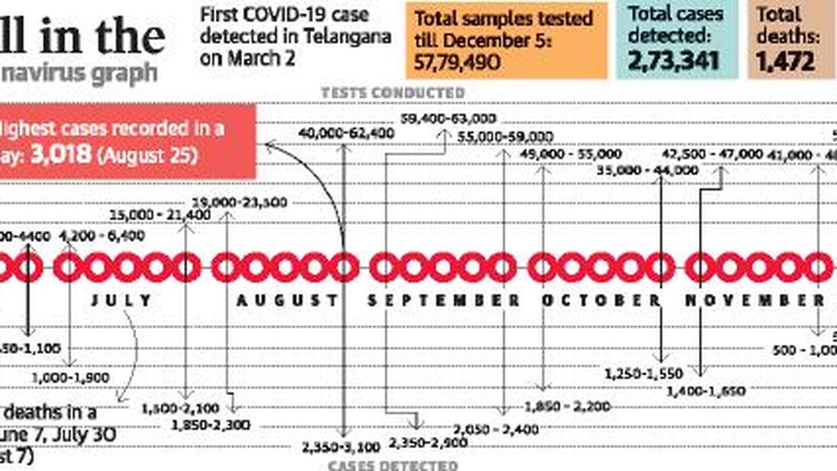 COVID cases declining despite increased testing The Hindu