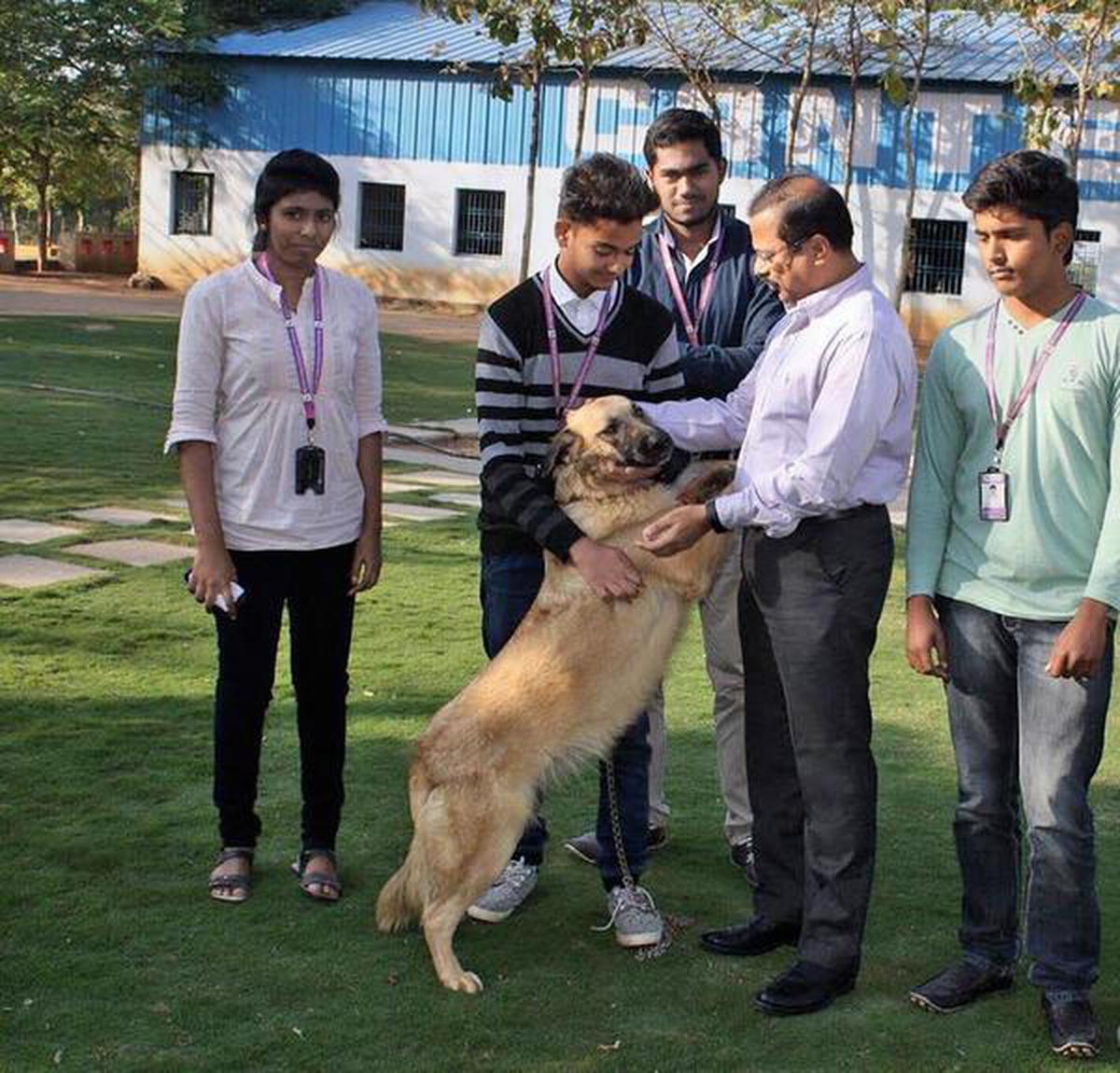 This college welcomes stray animals and birds - The Hindu