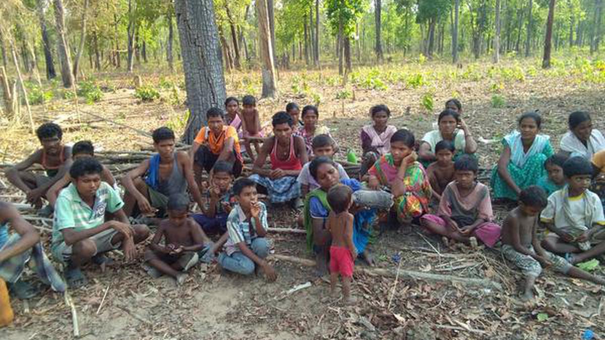 Maoist violence: ST panel urges Centre, States to submit detailed report on status of Gotti Koya tribals