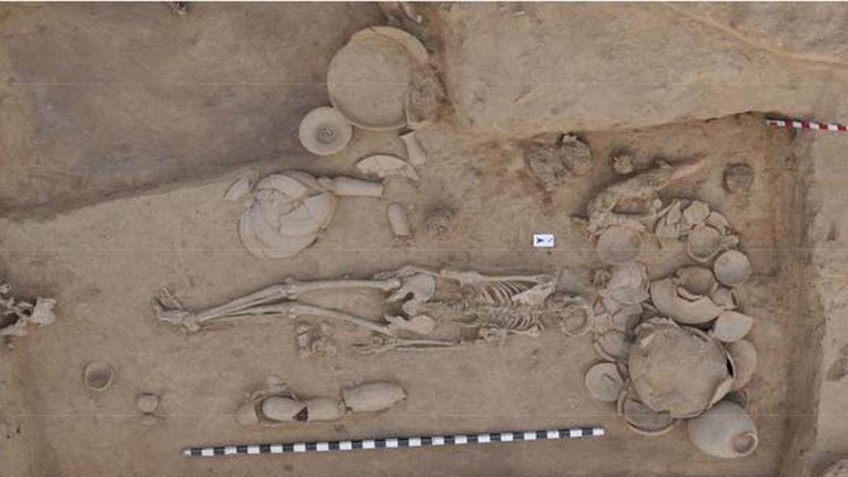 Study Of Ancient DNA Throws Light On Origin Of Farming, Languages - The ...