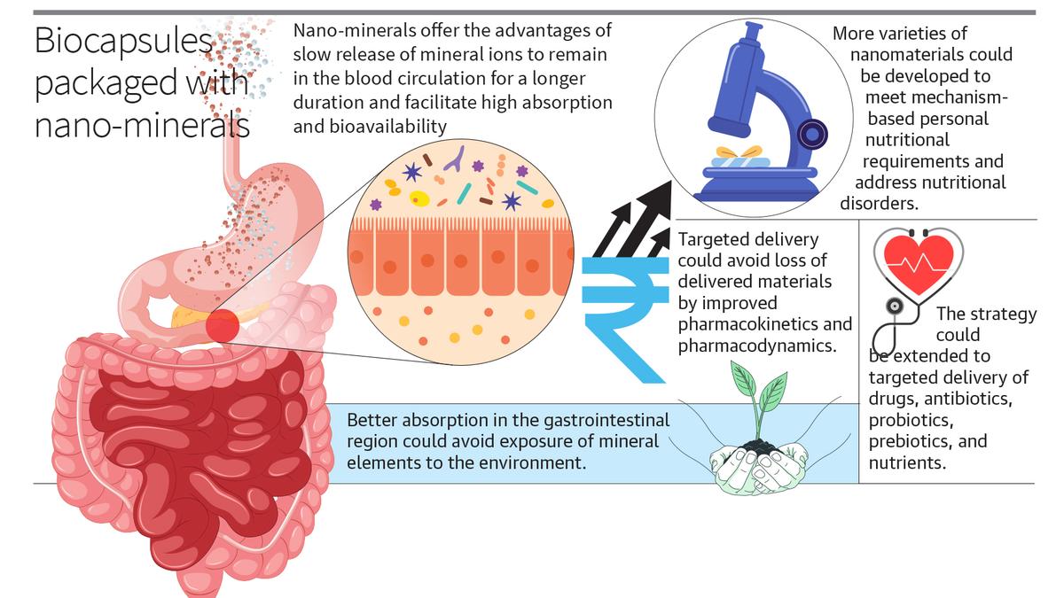 https://th-i.thgim.com/public/news/cities/Hyderabad/cox6my/article68667000.ece/alternates/LANDSCAPE_1200/Biocapsule%20packed%20with%20nano%20materials.jpg