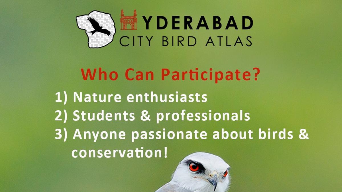 Citizens team up to develop Hyderabad’s Bird Atlas