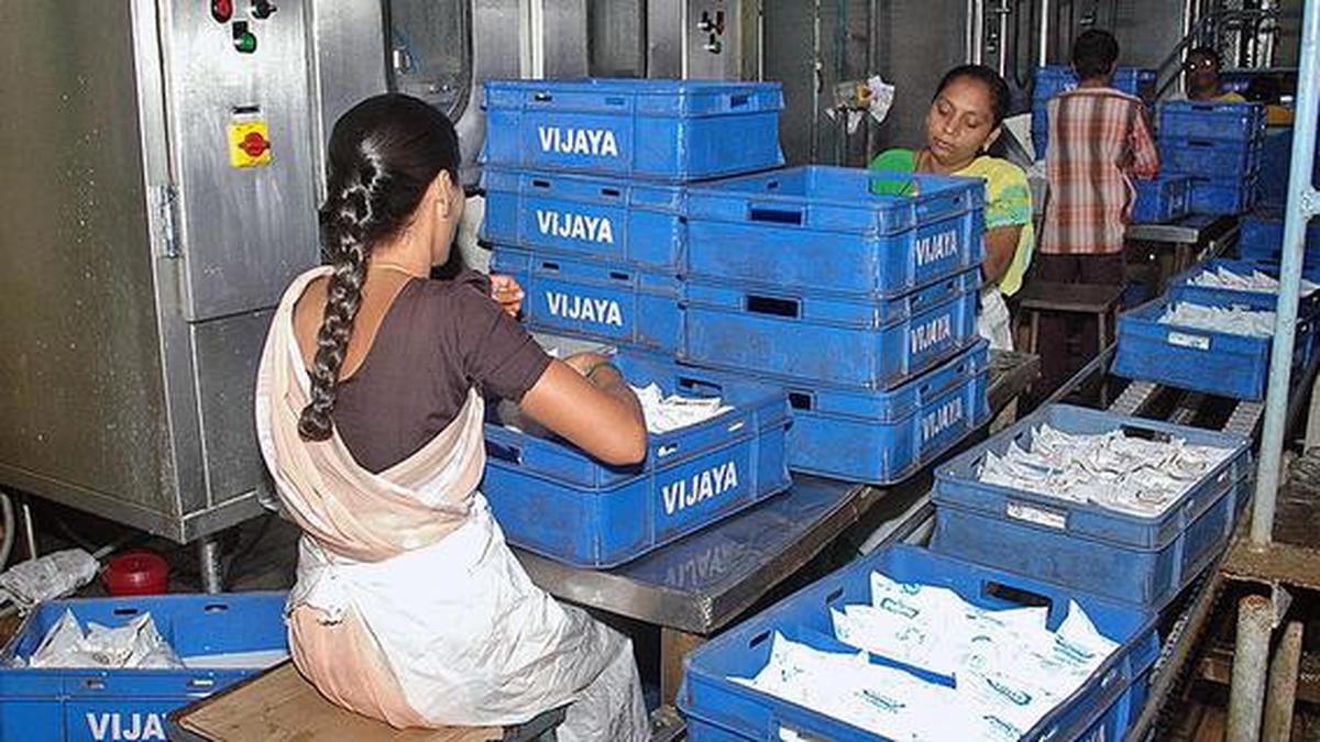 Vijaya Dairy plans ₹ 175cr. milk processing plant at Medchal The Hindu
