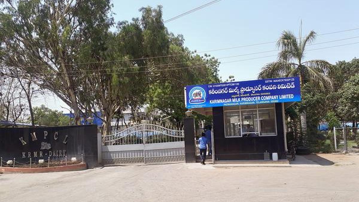 For Karimnagar dairy, it’s all milk and honey The Hindu