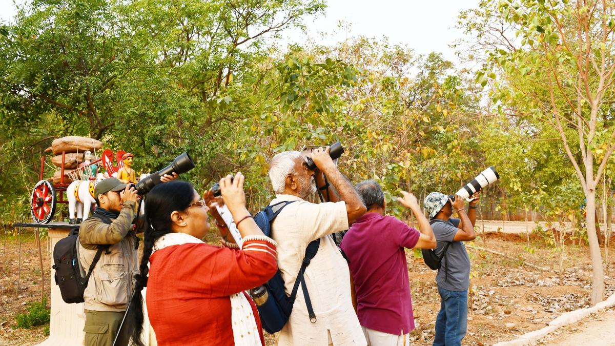 Bird Walks in Vikarabad and Gajwel Forests on February 23 and March 2