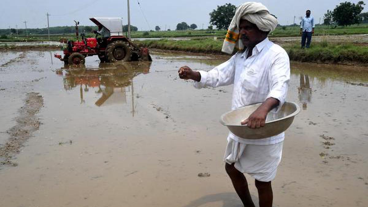 Direct Seeding of Rice – A Simple Solution to India's Water Crisis