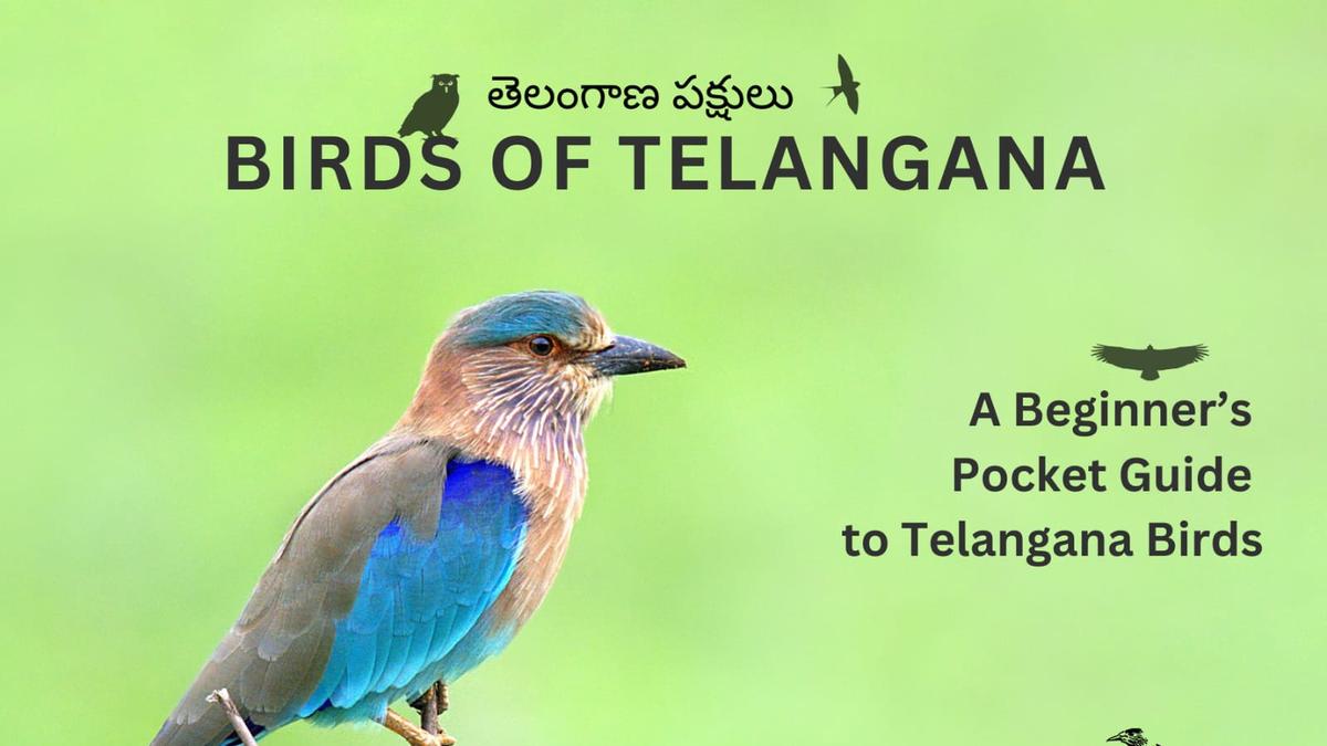 ‘Birds of Telangana’ pocket guide released, featuring 252 of 443 birds documented in State