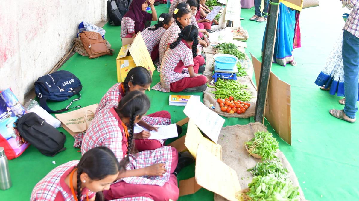 Novel initiative in Telangana’s Karimnagar to take learning beyond classrooms