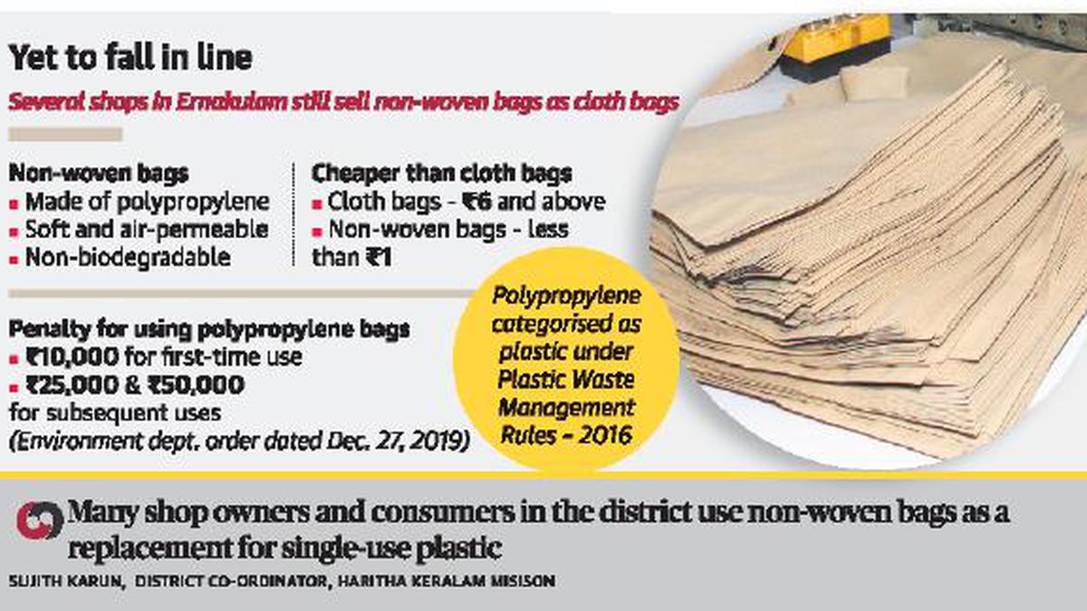 Non woven bags stand in the way of plastic ban The Hindu