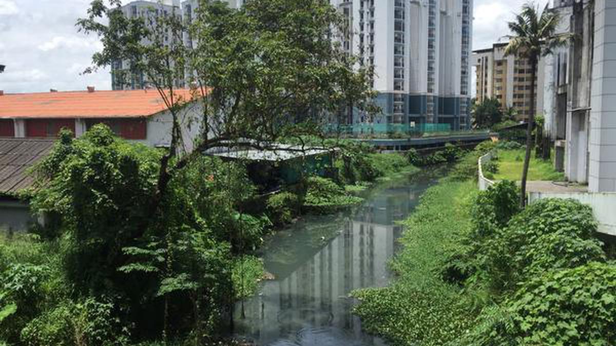 Illegal wastewater outlets into canals on the rise in Kochi - The Hindu