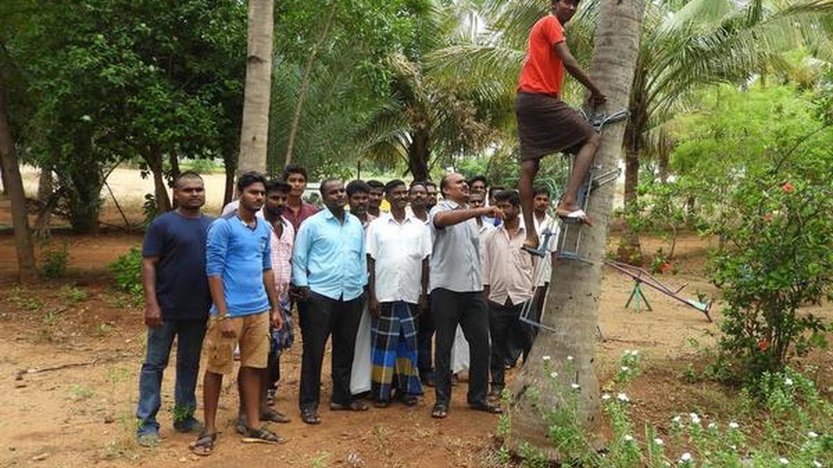 Farm Producers’ Organisation a role model The Hindu