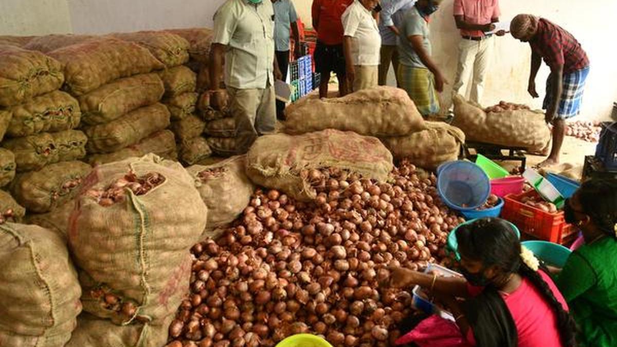 Onions sent to southern districts The Hindu